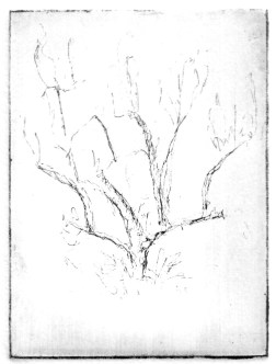 9-10 Intaglio, 4" x 3"