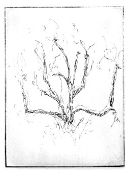 9-12 Intaglio, 4" x 3"