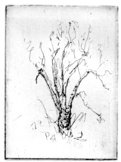 9-13 Intaglio, 4" x 3"