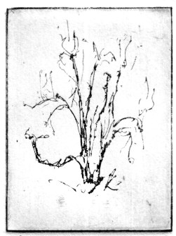 9-14 Intaglio, 4" x 3"