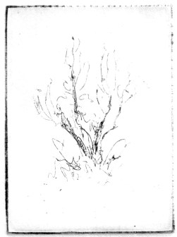 9-16 Intaglio, 4" x 3"