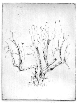 9-2 Intaglio, 4" x 3"