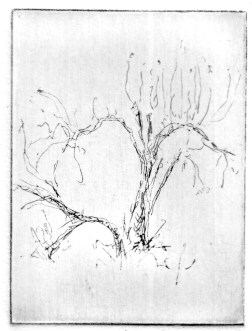 9-3 Intaglio, 4" x 3"