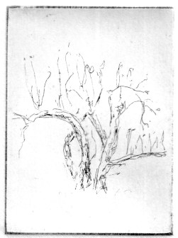 9-4 Intaglio, 4" x 3"