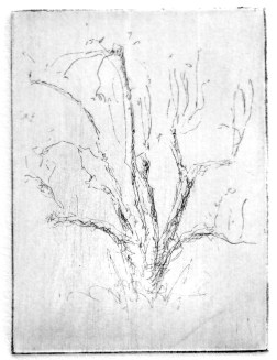 9-6 Intaglio, 4" x 3"