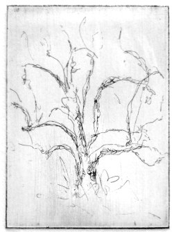 9-8 Intaglio, 4" x 3"