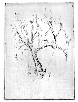 9-9 Intaglio, 4" x 3"