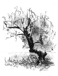 14-1 Lithograph, 4" x 3" 2008